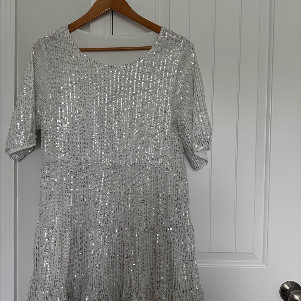 Silver Sequin Dress